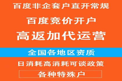 百度运营推广策略：成功案例解析